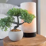 Coastal Lägenhet Zandvoort