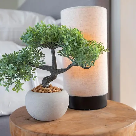 Coastal Apartament Zandvoort