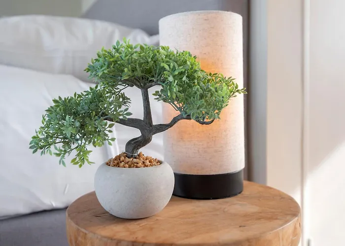 Coastal شقة زاندفورت