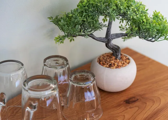 Coastal * زاندفورت