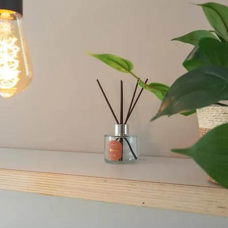 Coastal Apartment